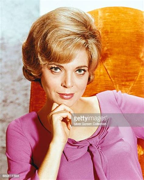 barbara bain sexy|66 Barbara Bain 1960s Stock Photos & High